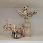 Lacugnano La Tua Casa In Umbria *